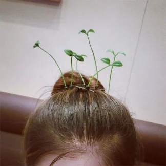 小草发夹头上长草抖音同款卖萌神器豆芽卡直播间道具搞怪创意头饰